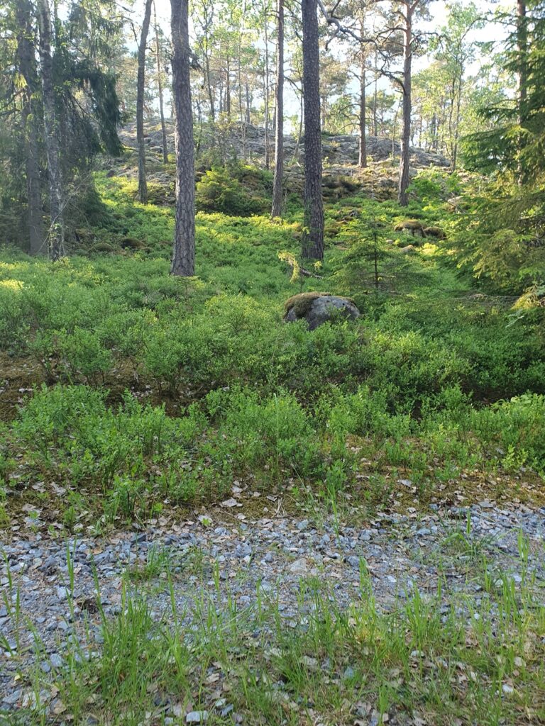 Traktorstig