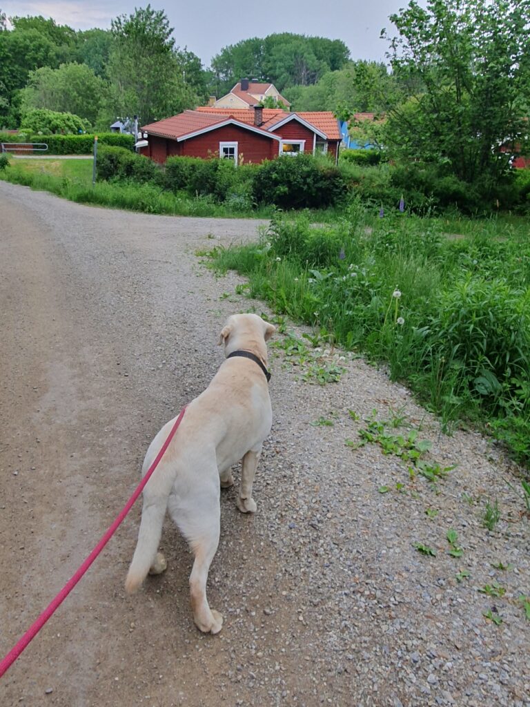 Slutet är nära i Grantorp