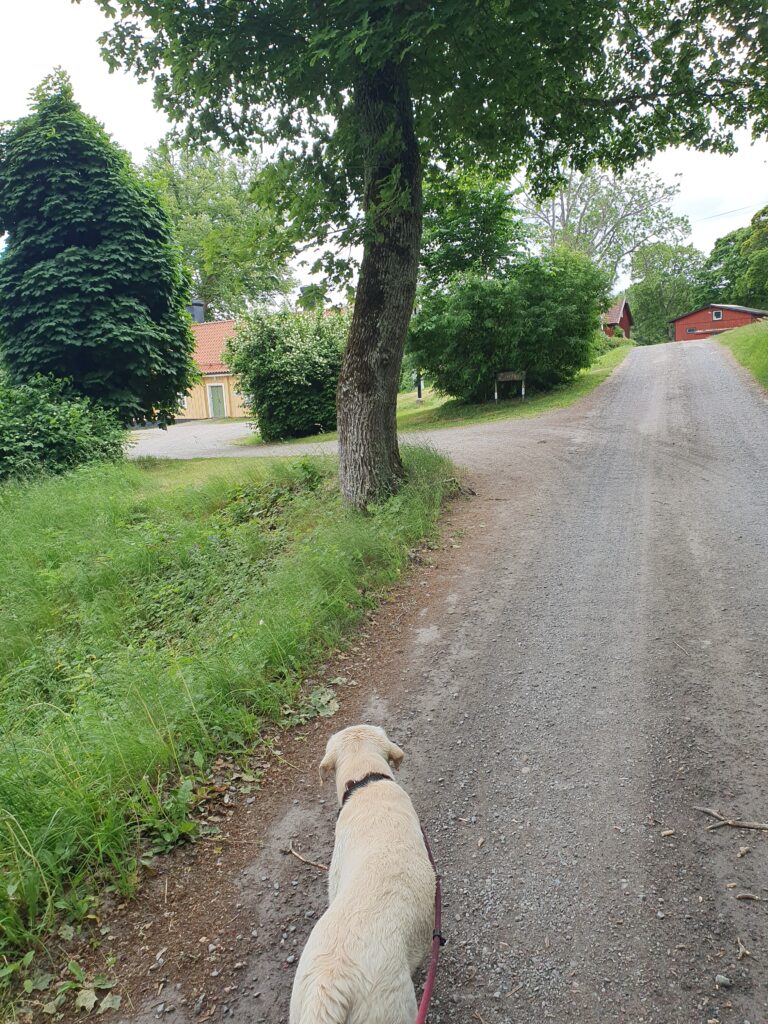 Lindhov plus bondgård