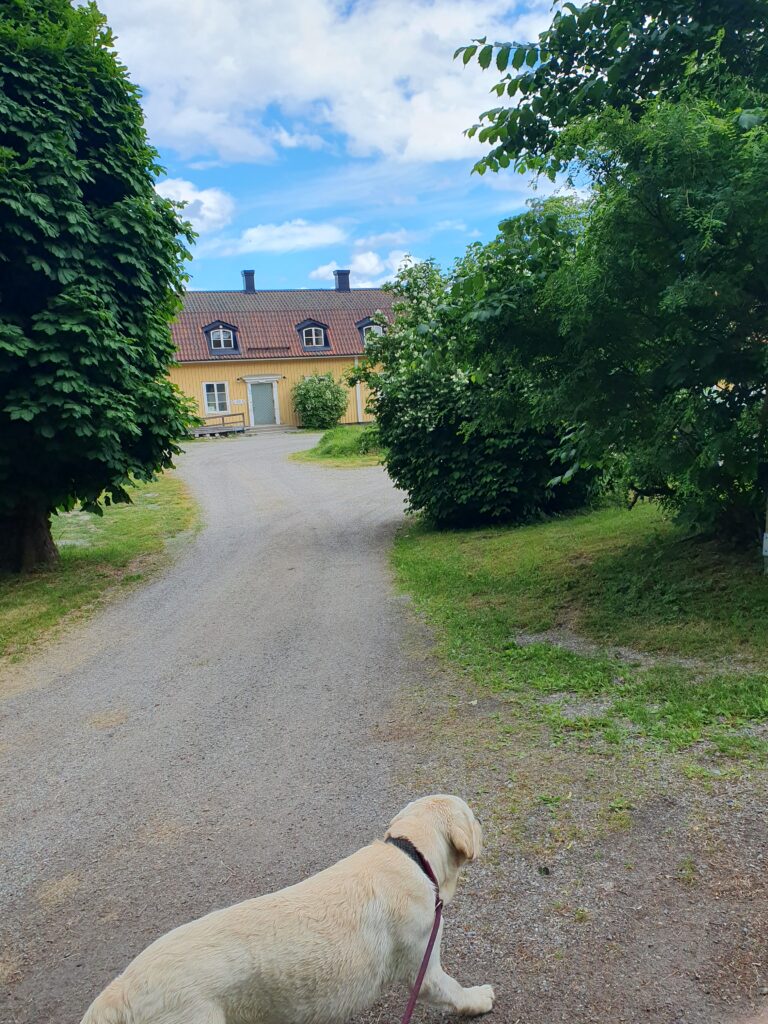 Lindhovs gård