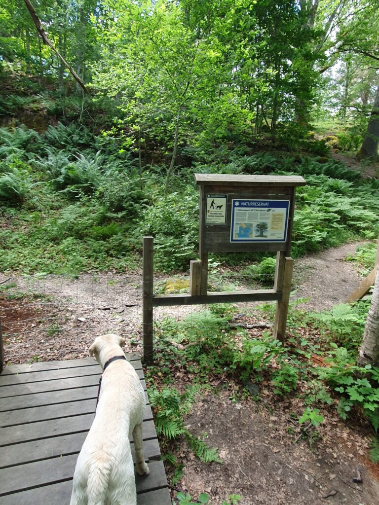Eknäset