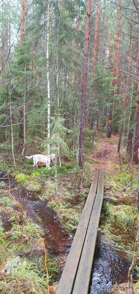 Uno och långlinan på villovägar