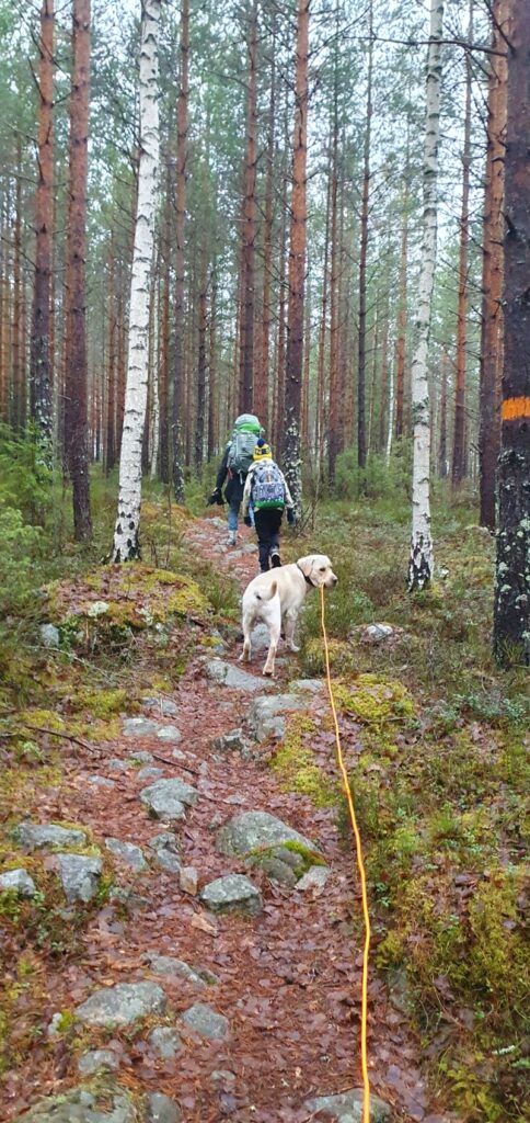 Uppförslut