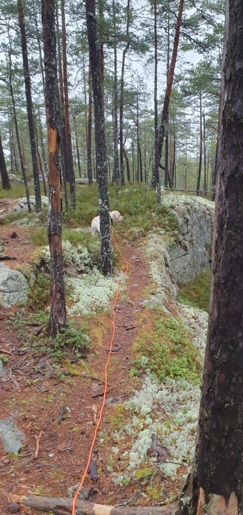 Uno på stig i kuperad terräng