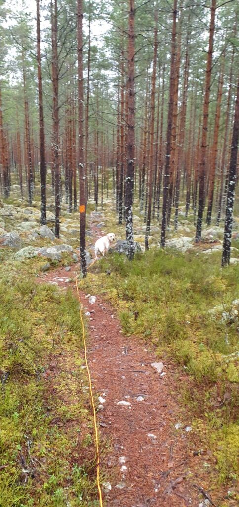Följ långlinan