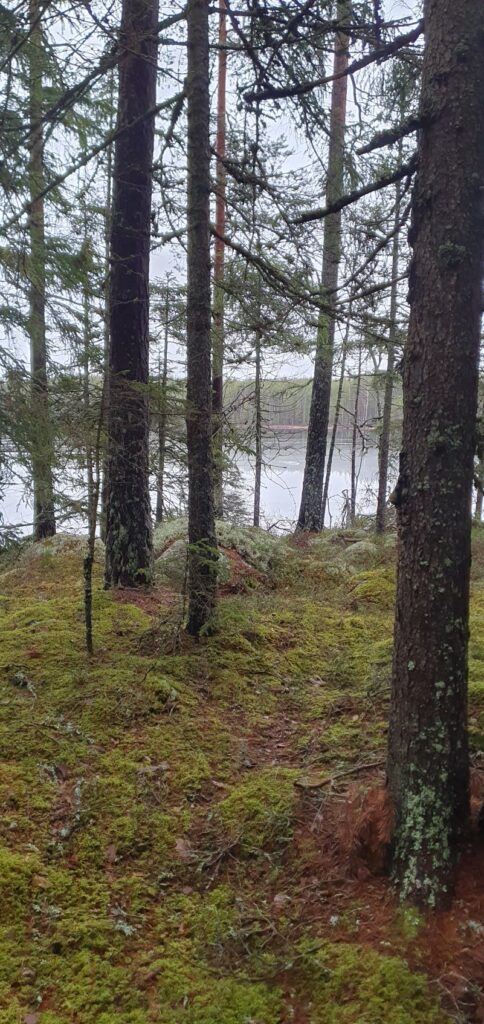 Vår sjö