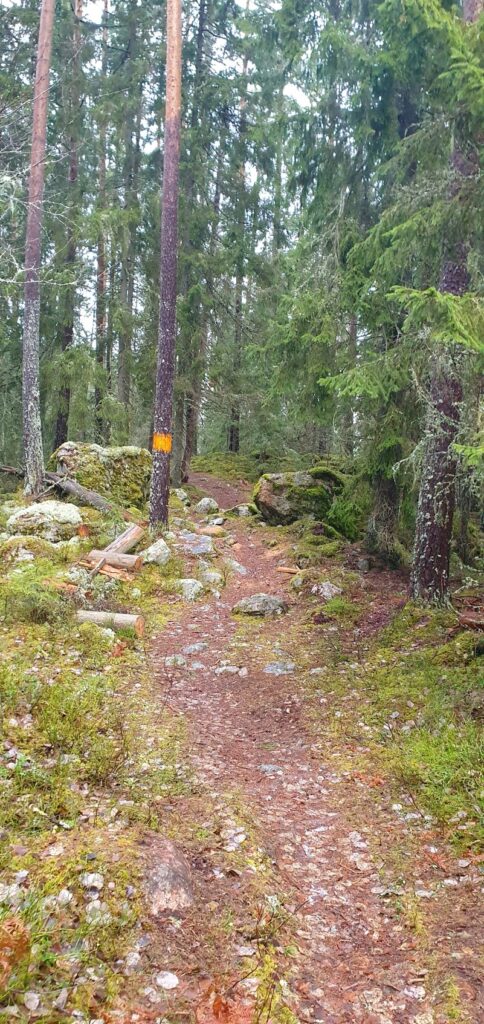 Välmarkerad led